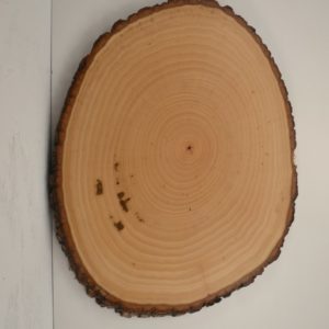 Bark edge oval plaque.