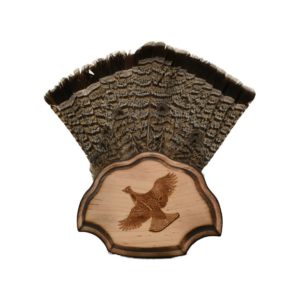 Grouse Tail Mounting Plaque