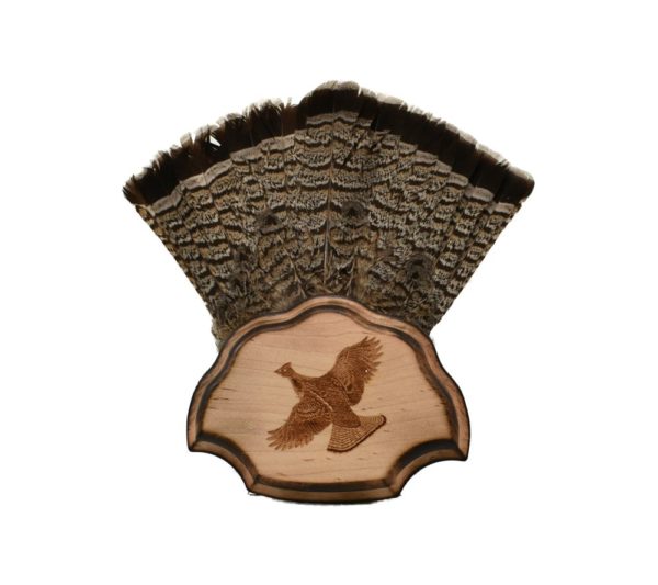 Grouse Tail Mounting Plaque