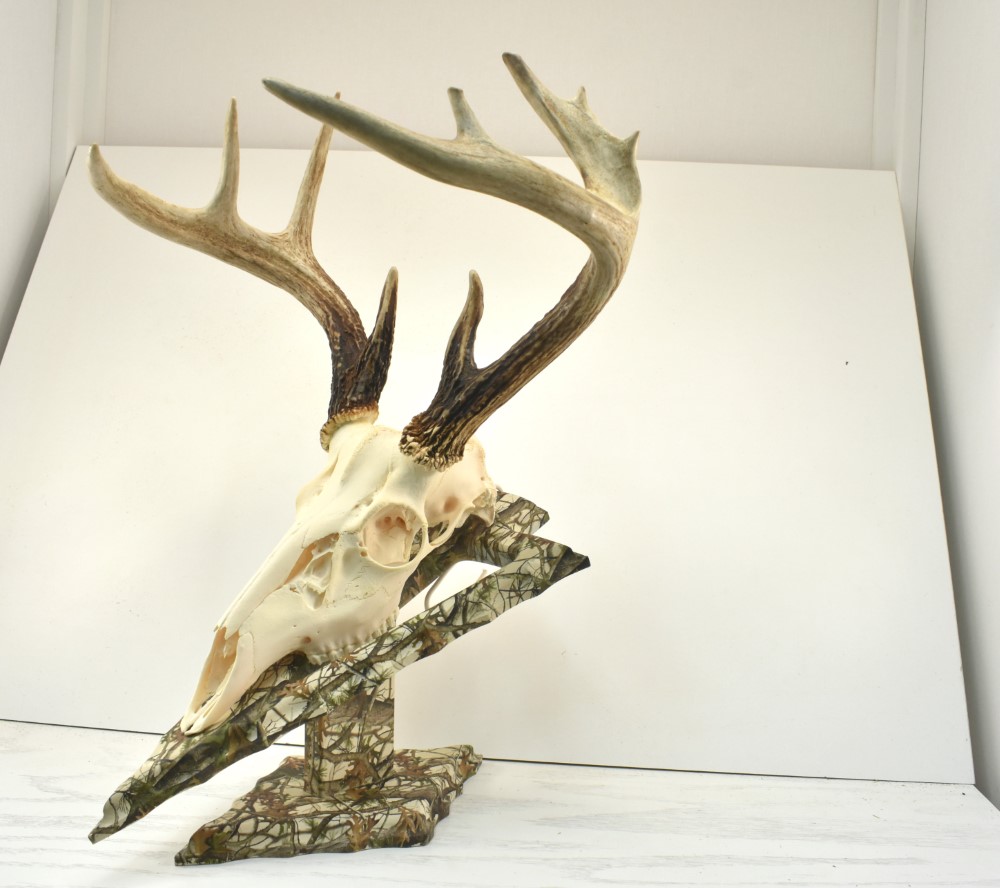 Arrowhead Whitetail Woodcrafters Camo Skull European Taxidermy Mount Plaque 