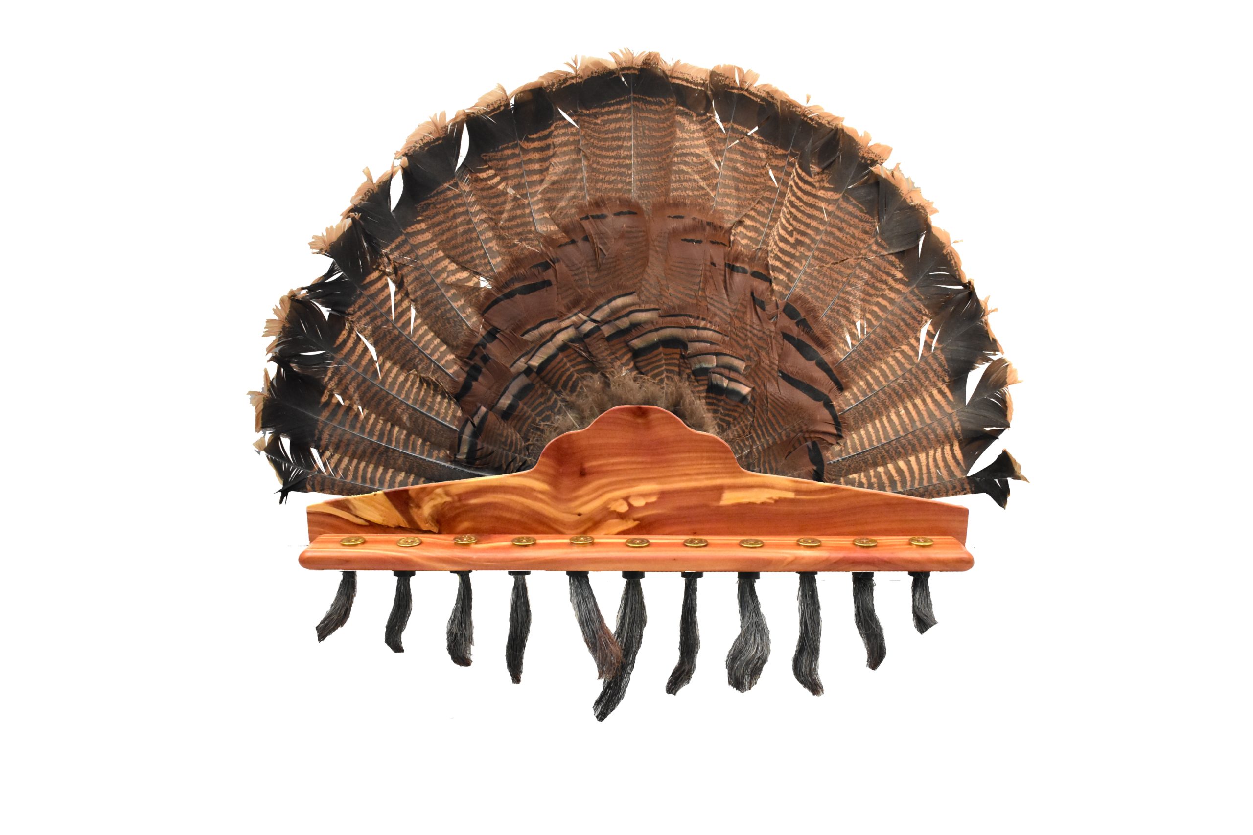 Turkey Beard Plaque With Fan Mount Standard Hardwood Whitetail Woodcrafters
