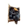 Pack Mount Frame - Image 2
