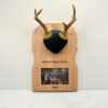 Deer Antler Mounting Kit