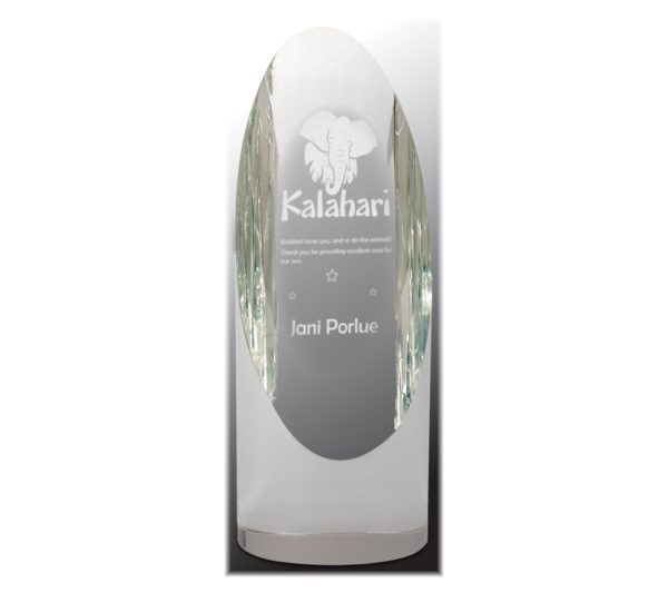 Crystal cylinder style award.