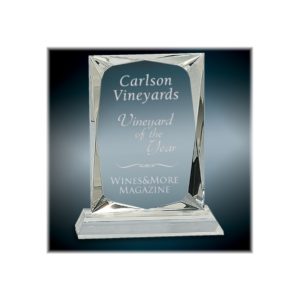 Crystal rectangle award on a clear base.