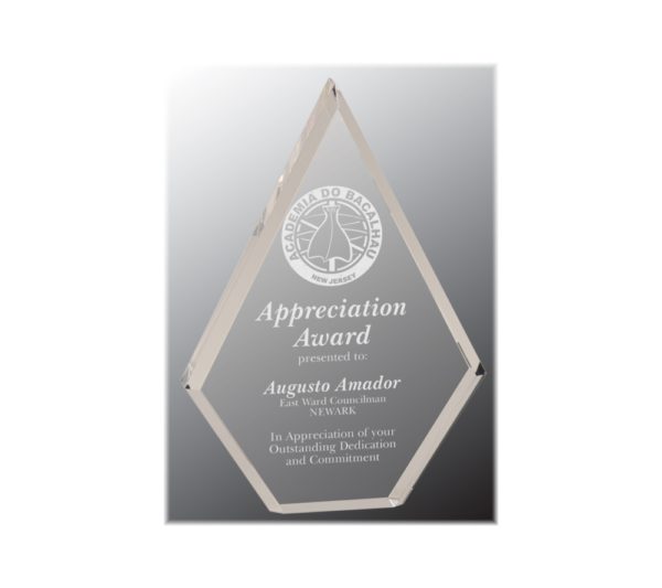 Custom engraved clear acrylic award.