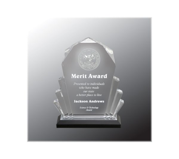 Faceted Impress acrylic award with silver highlights.