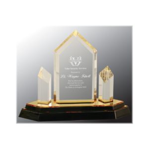 Jewel tower impress acrylic award with gold highlights.