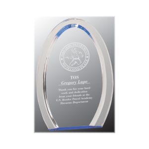 Oval halo award with blue highlights.