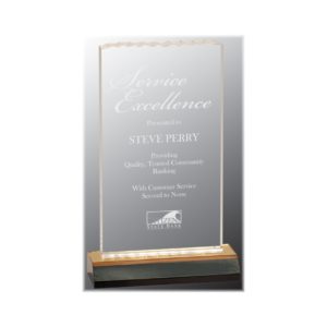 Reflection acrylic ice top award with gold highlights.