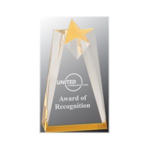 Sculpted acrylic star shaped award with gold highlights.