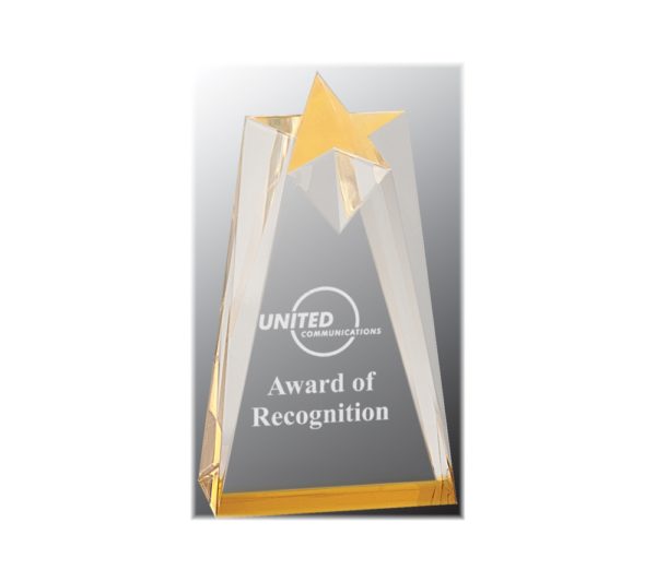 Sculpted acrylic star shaped award with gold highlights.