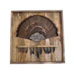 Barnwood shadow box with turkey tail cap and beard plate.