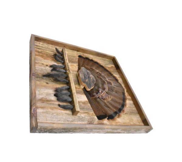 Barnwood shadow box with turkey tail cap and beard plate.