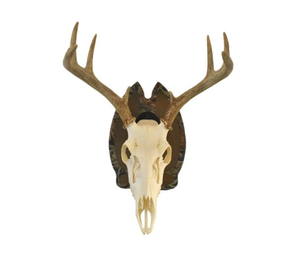 Camo Deer Track with Skull Hanger Plaque