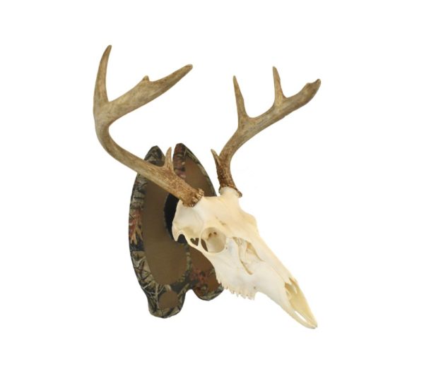 Camo European Mount Deer Track Plaque