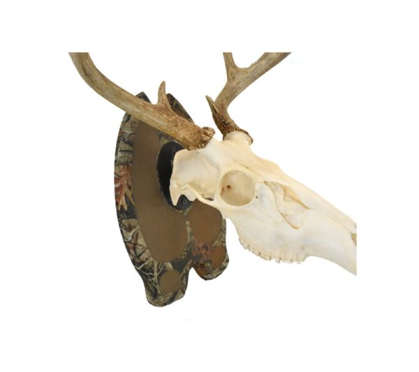 Camo Deer Track European Mount Plaque