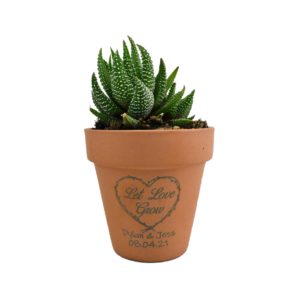 Let Love Grow Engraved Terra Cotta Pot Wedding Favor