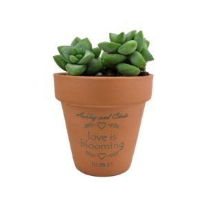 Love Is Blooming Engraved Terra Cotta Pot Wedding Favor