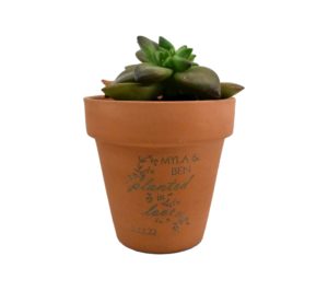 Planted In Love Engraved Terra Cotta Pot Wedding Favor