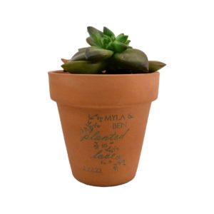 Planted In Love Engraved Terra Cotta Pot Wedding Favor