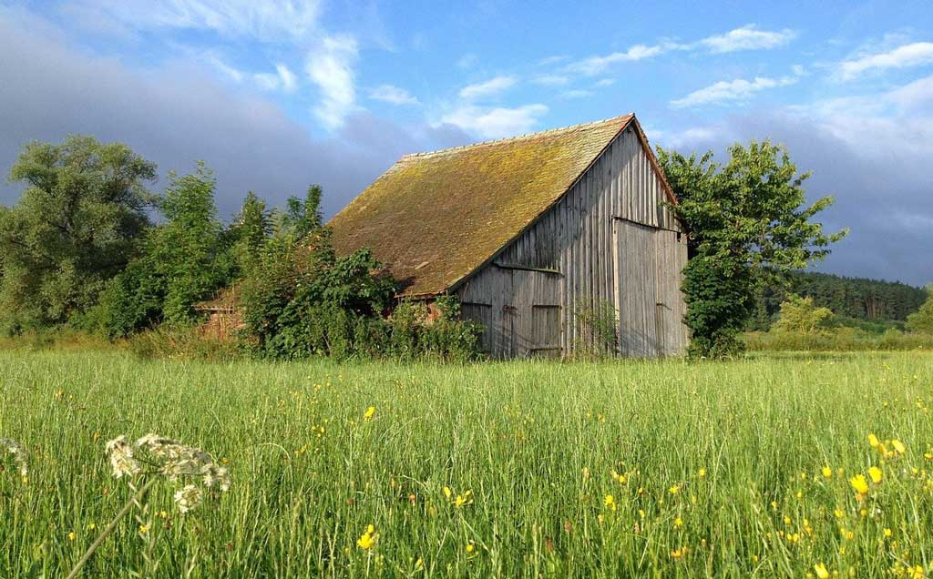 old barn in a field on summer’s day