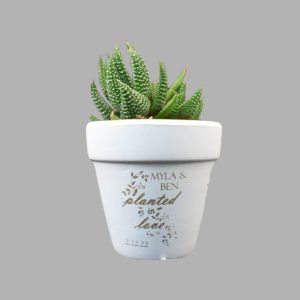 Custom Engraved White Clay Pot Wedding Favor Planted In Love