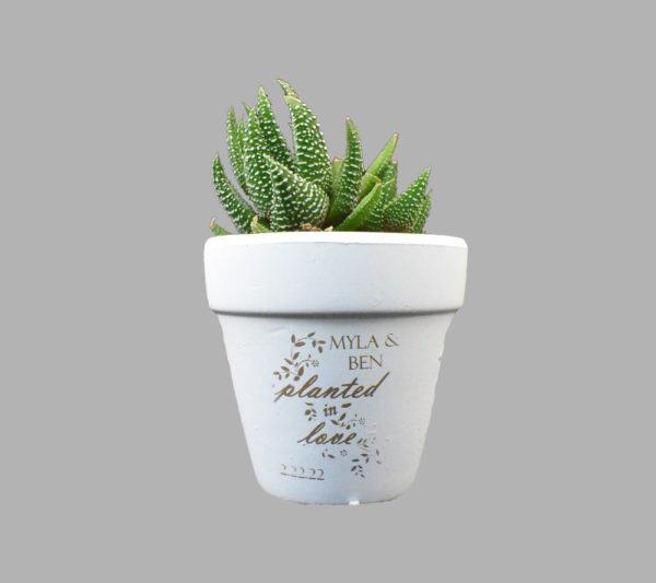 Custom Engraved White Clay Pot Wedding Favor Planted In Love