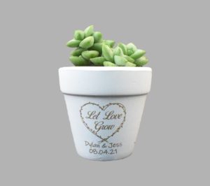 White Clay Pot Engraved Wedding Favor Let Love Grow