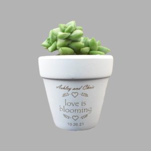 Love Is Blooming Engraved White Clay Pot Wedding Favor