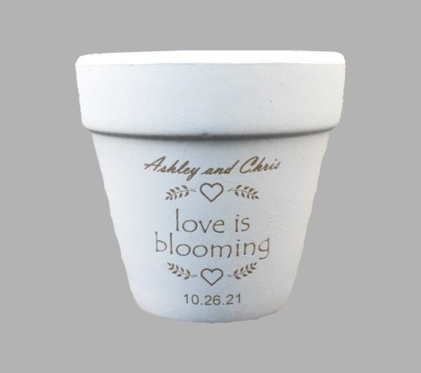 Love Is Blooming Clay Pot Wedding Favor