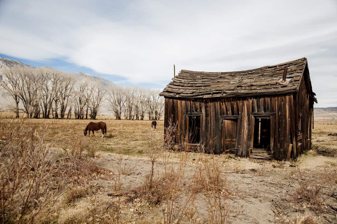 Old horse barn in a pasture